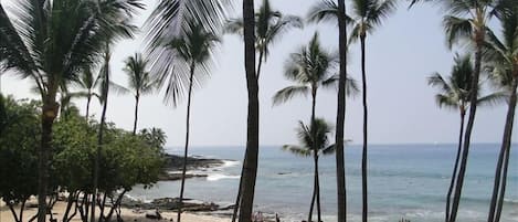 Amazing view of Honl's beach and park from our Lanai!!!