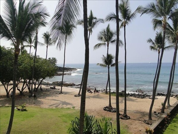 Amazing view of Honl's beach and park from our Lanai!!!