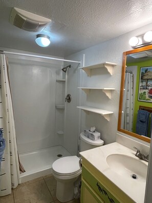 modern bath with walk in shower
