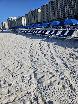 Beach chairs and Umbrellas to rent
