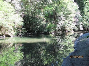 The Stone-Skipping Side of the Creek