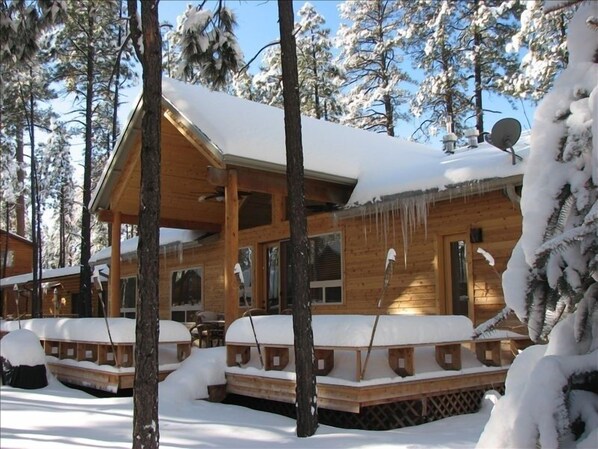 BACK OF THE CABIN