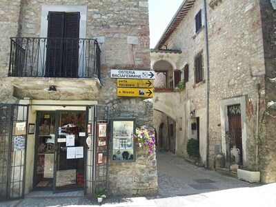 Cozy apartment-suite historic stone and beams, 'Casa de Trucchia'