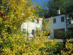 Boendeområde