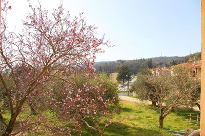 HOUSE WITH GARDEN ON THE TUSCAN HILLS about 20 minutes from the sea WI-FI FREE