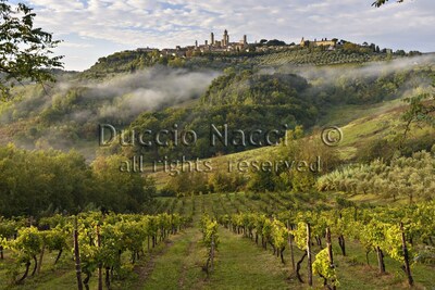 "The apartment you were looking for in the heart of San Gimignano" .... book it now!