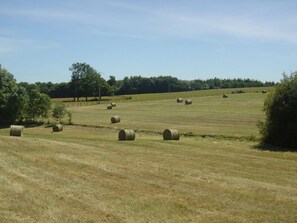 Property fields