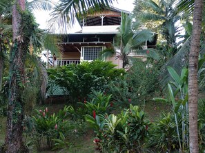 house from below