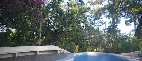 Pool view from entrance