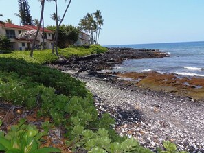 Our townhouse is just to the right of that big bush!  A lovely location!