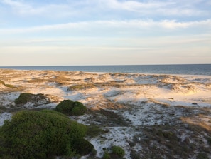 Direct Beach front unit- taken off of the balcony!