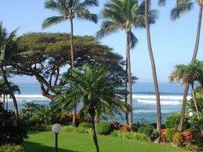 Vista para a praia ou o mar