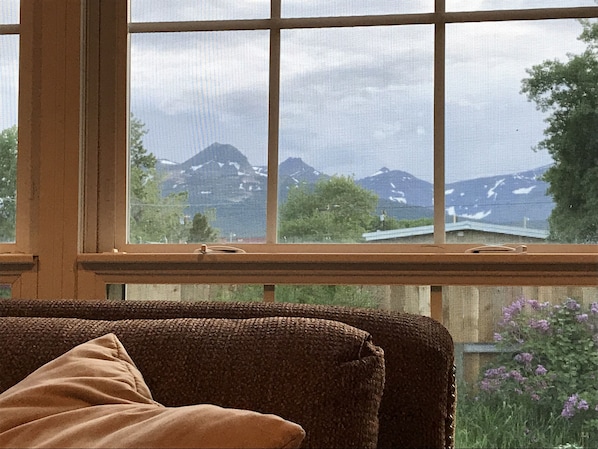 View from the living room window