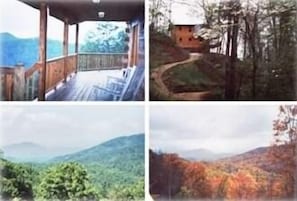 four seasons