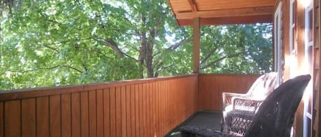 Hidden Deck in the trees off of the bedroom