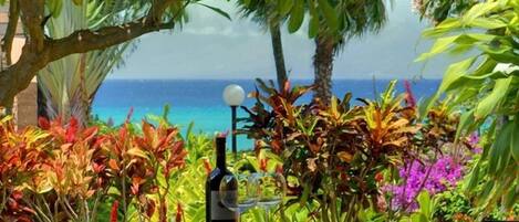 You've found paradise! View from your lanai