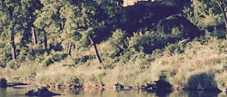 View of cabin from Klondike bridge. 