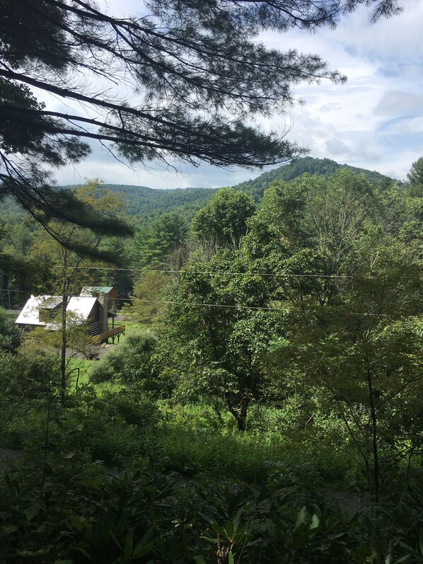 Enjoy this view from the swing or front porch.......