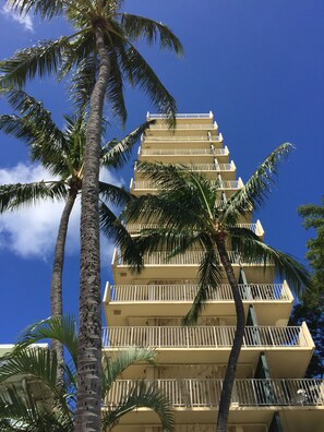 Maile Penthouse is "At The Top"  Photo by Kathryn Schipper.