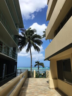 Welcome to the Diamond Head Beach Hotel! Do you hear the ocean calling?