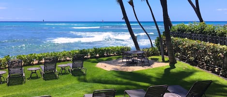 Oceanfront tranquility w/palm trees swaying to tropical breezes. Join us?
