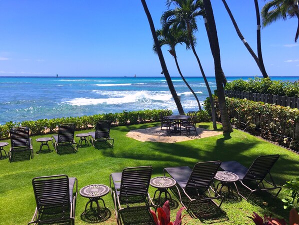 Oceanfront tranquility w/palm trees swaying to tropical breezes. Join us?
