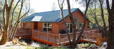 Cabin set in among pines and oaks