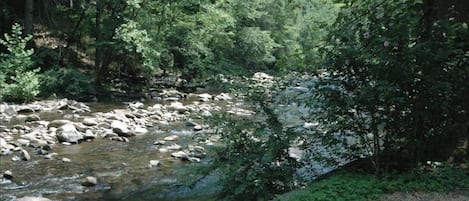 view of river in summer