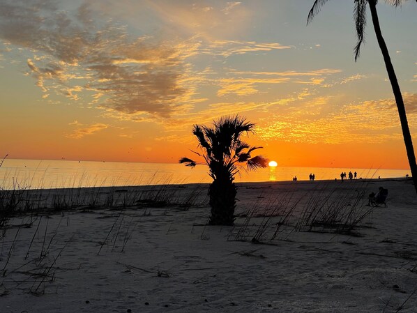Playa