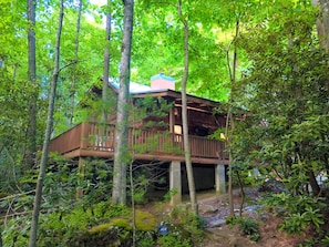 Our private cabin