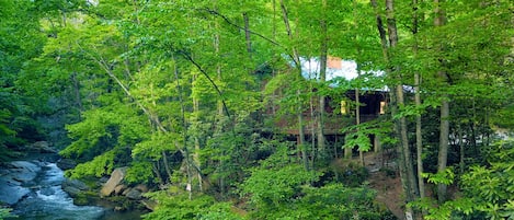 Our cabin sits right next to a calm peaceful river 