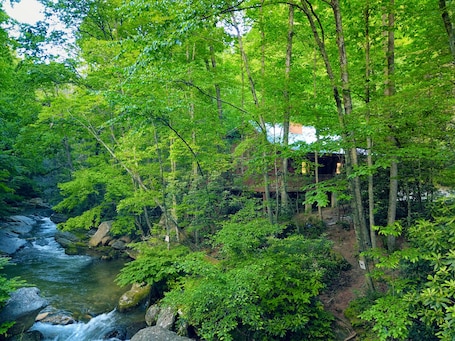 Our cabin sits right next to a calm peaceful river