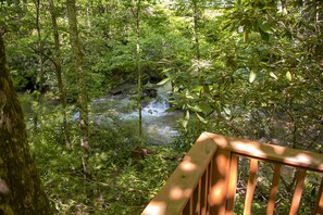 Watch and listen from the panoramic cabin balcony 