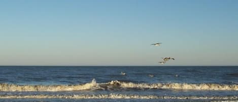 Scenic View from Follyfield Beach