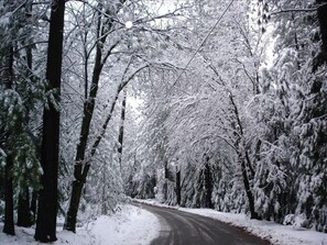 Deportes de invierno y ski