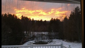 View from back porch