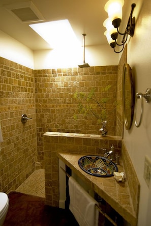 Skylight in cottage shower. Note the rainhead and terra cotta tile that Jean did