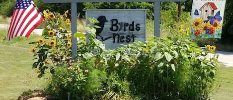 Welcome to the Byrd's Nest...