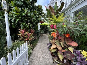 Front garden.