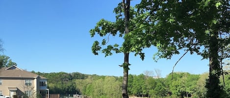 Beautiful view of Taneycomo from the deck!