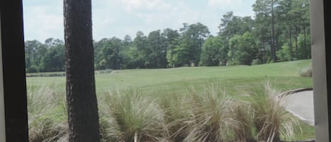 View from screened porch