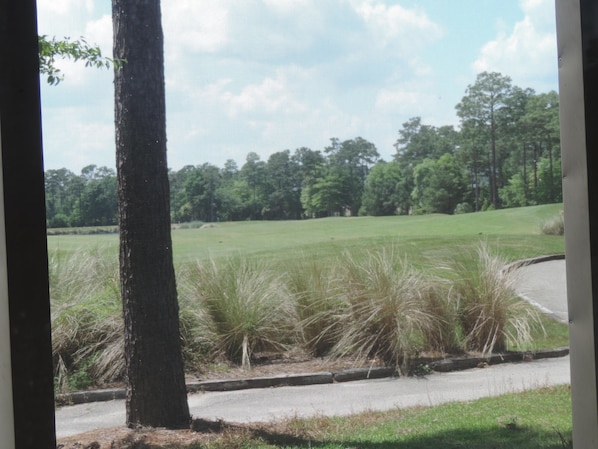 View from screened porch