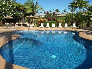 One of two pool areas with gas BBQs