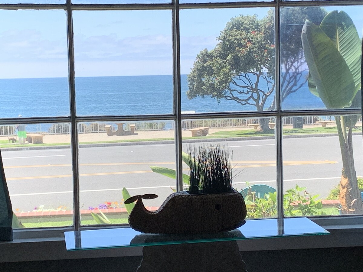 Oceanfront  Beach House