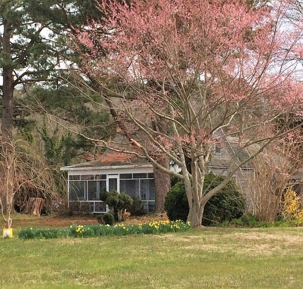 Welcome to Mom and Pop's Honest Point Home
