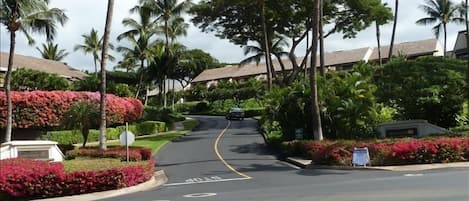 Maui Kamaole Resort Entrance