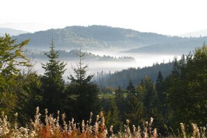 View from Holiday Home [summer]