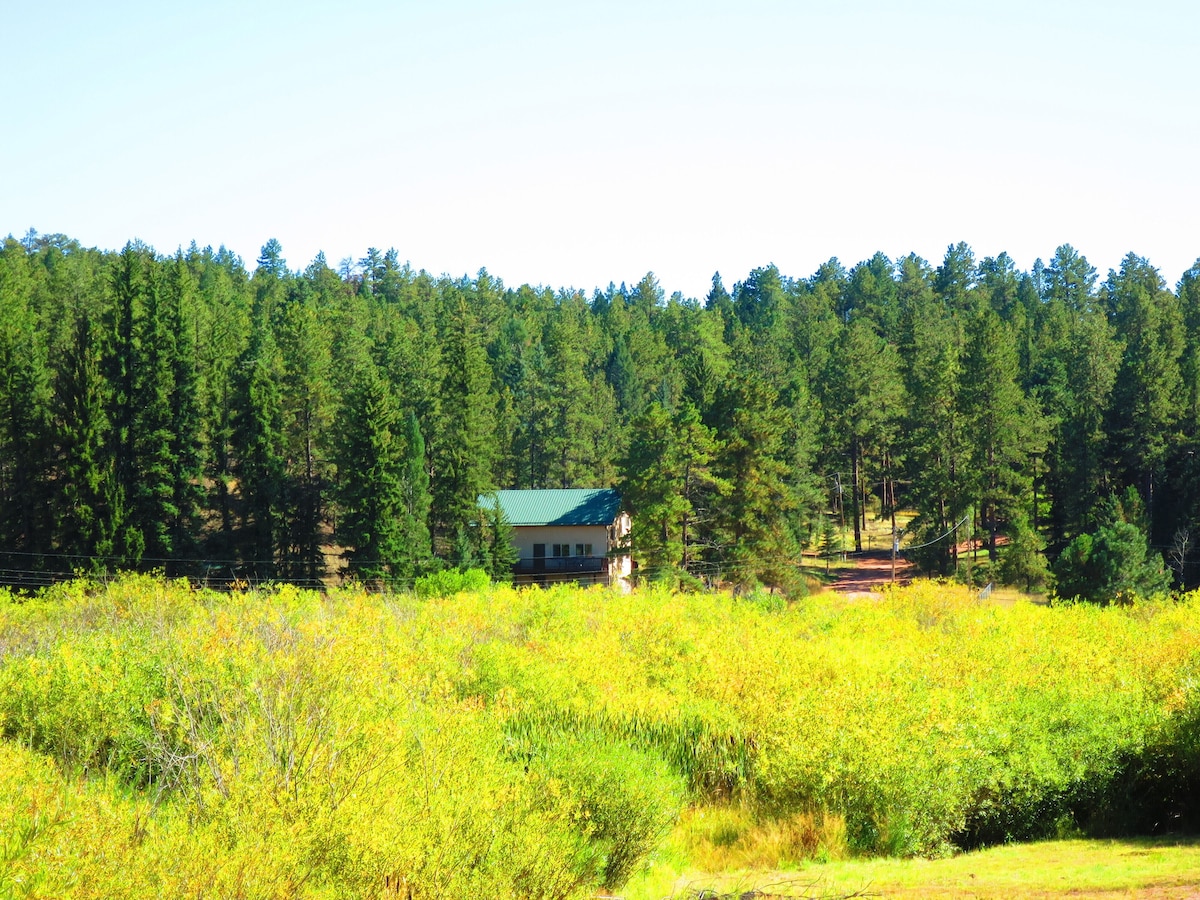 GORGEOUS MOUNTAIN RETREAT WITH PANORAMIC VIEWS, PIKES PEAK NATIONAL FOREST