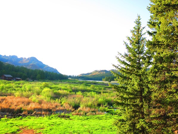 THIS IS YOUR MOUNTAIN VIEW FROM THE FRONT DECK