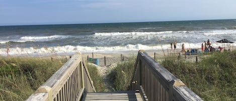 Strand